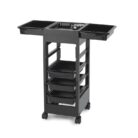 0171030 - E-Trolley 1