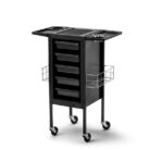 4787_trolley Metal - 1