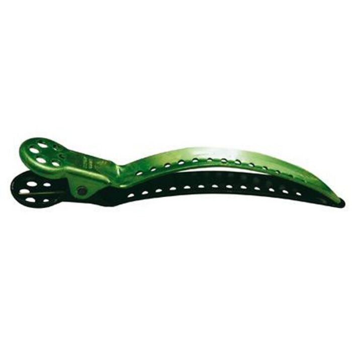 clipclgreen-5189 clipclgreen-5189